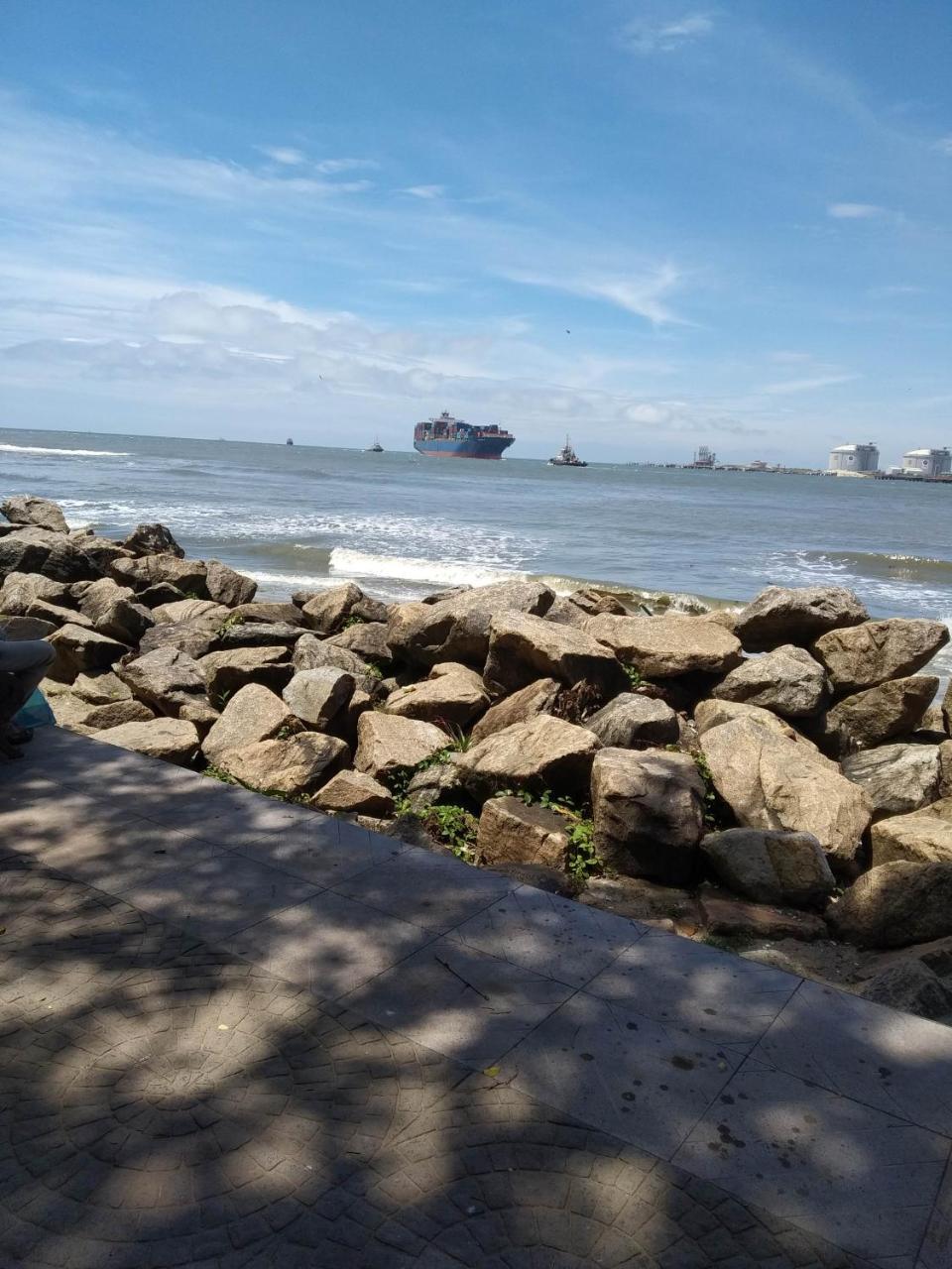 Casa Feliz Bed & Breakfast Fort Kochi Exterior photo