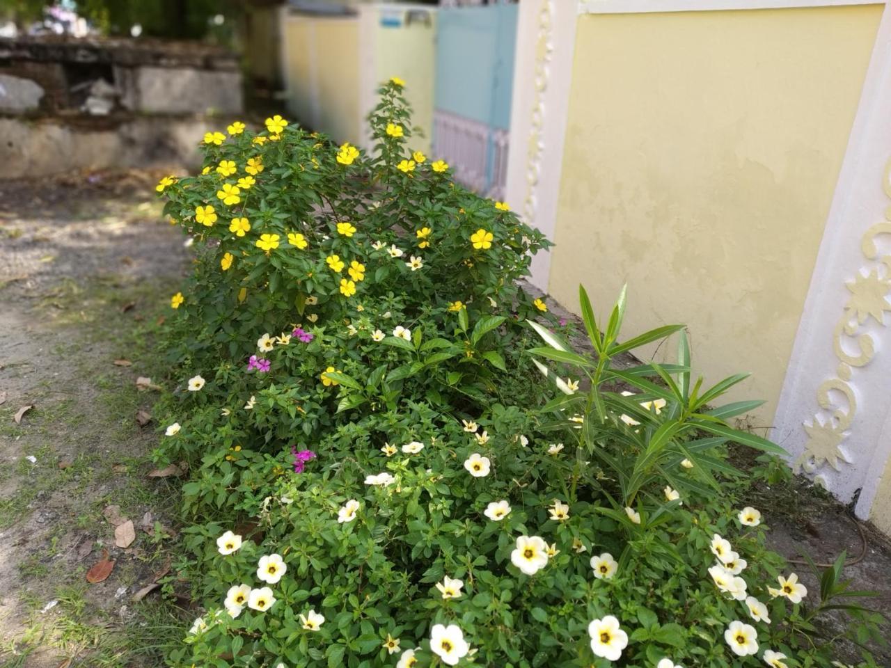Casa Feliz Bed & Breakfast Fort Kochi Exterior photo